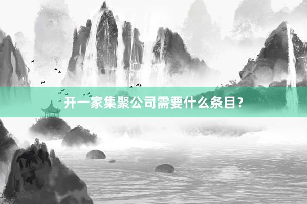 开一家集聚公司需要什么条目？