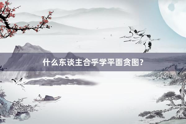 什么东谈主合乎学平面贪图？