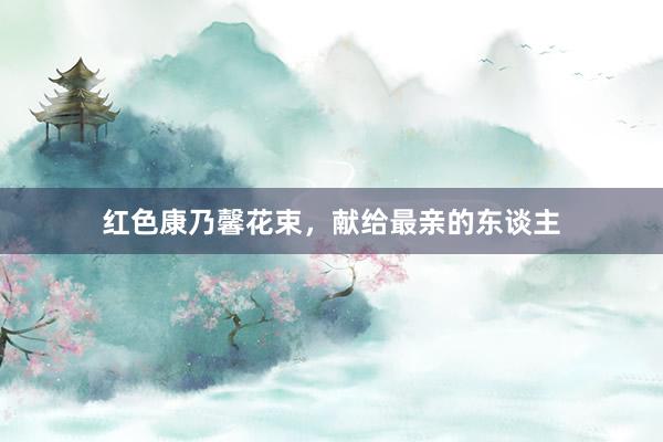 红色康乃馨花束，献给最亲的东谈主
