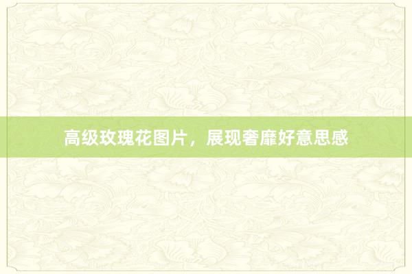 高级玫瑰花图片，展现奢靡好意思感