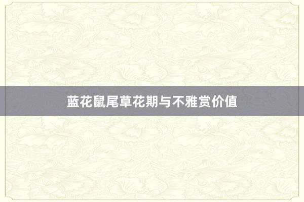 蓝花鼠尾草花期与不雅赏价值