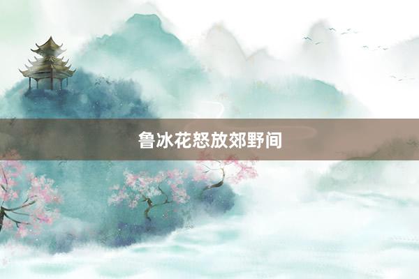 鲁冰花怒放郊野间